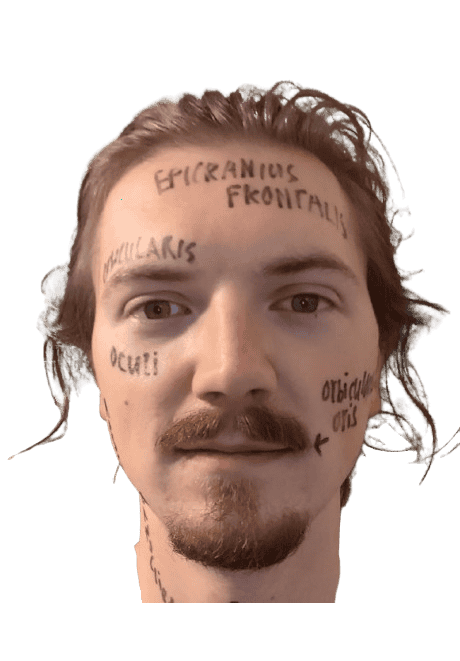 A headshot of a masc presenting person with green eyes, messy pulled-back dirty blonde hair, well-groomed strawberry mustache goatee combo, and facial anatomy labels written all over the face in black marker
